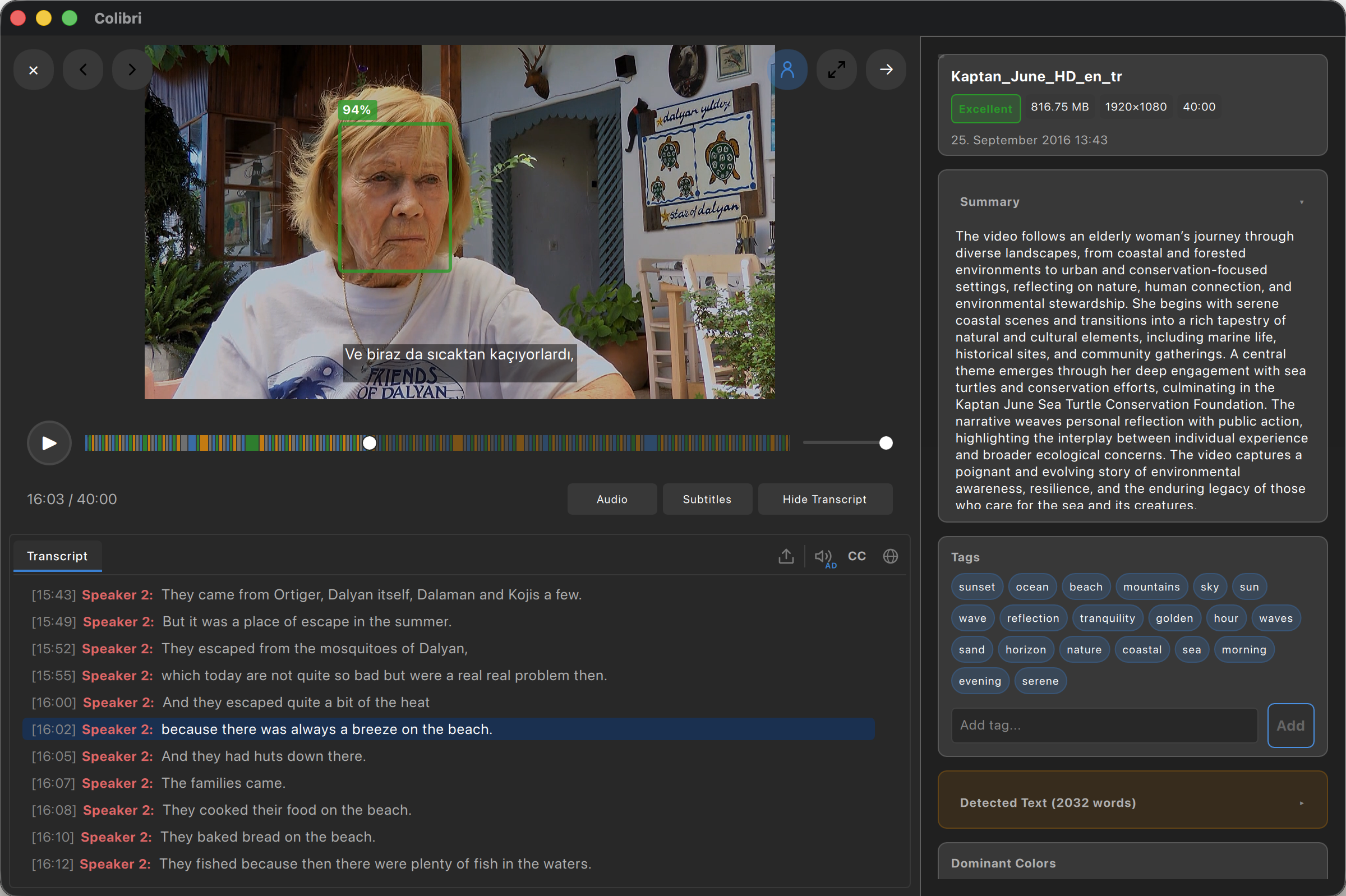 Video analysis with subtitles, transcript, scene breakdown